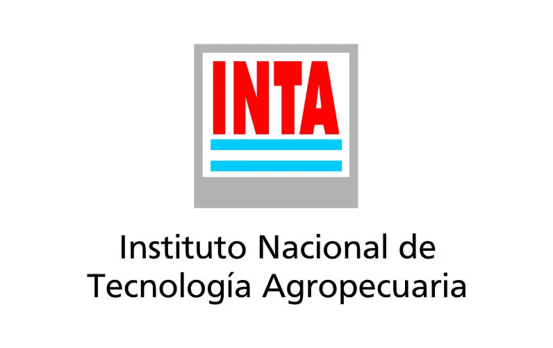 inta inta