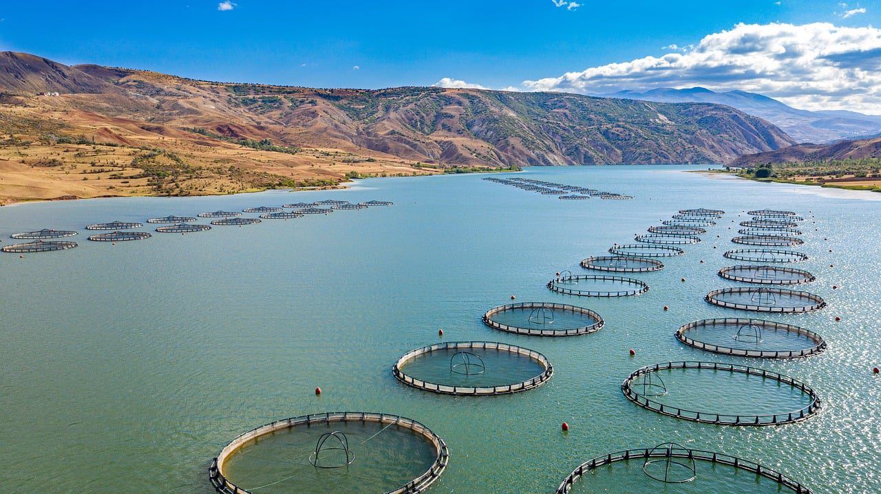 Aquaculture sivas-9686574_1280